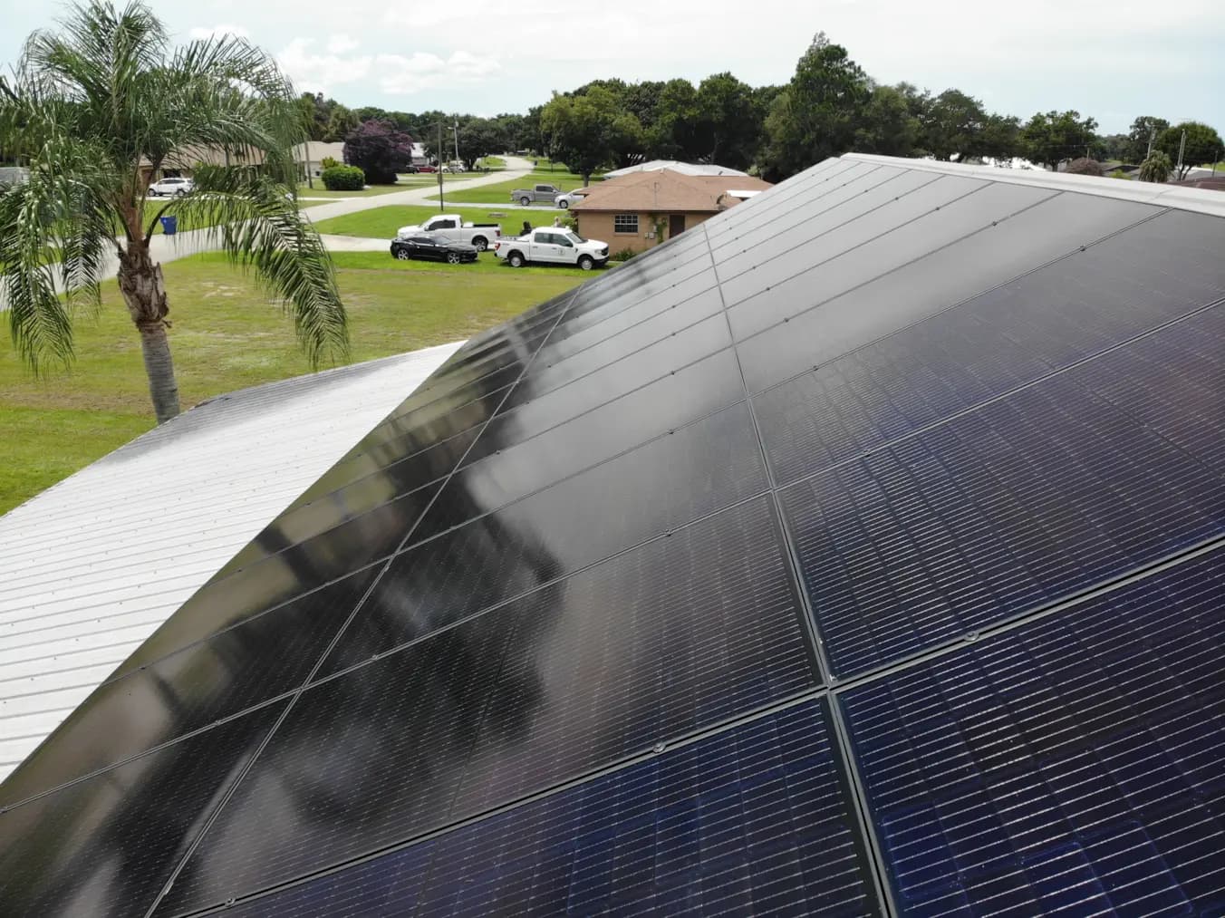 Close-up of black solar panels installed by Lunex beneath palm trees in a sunny backyard.